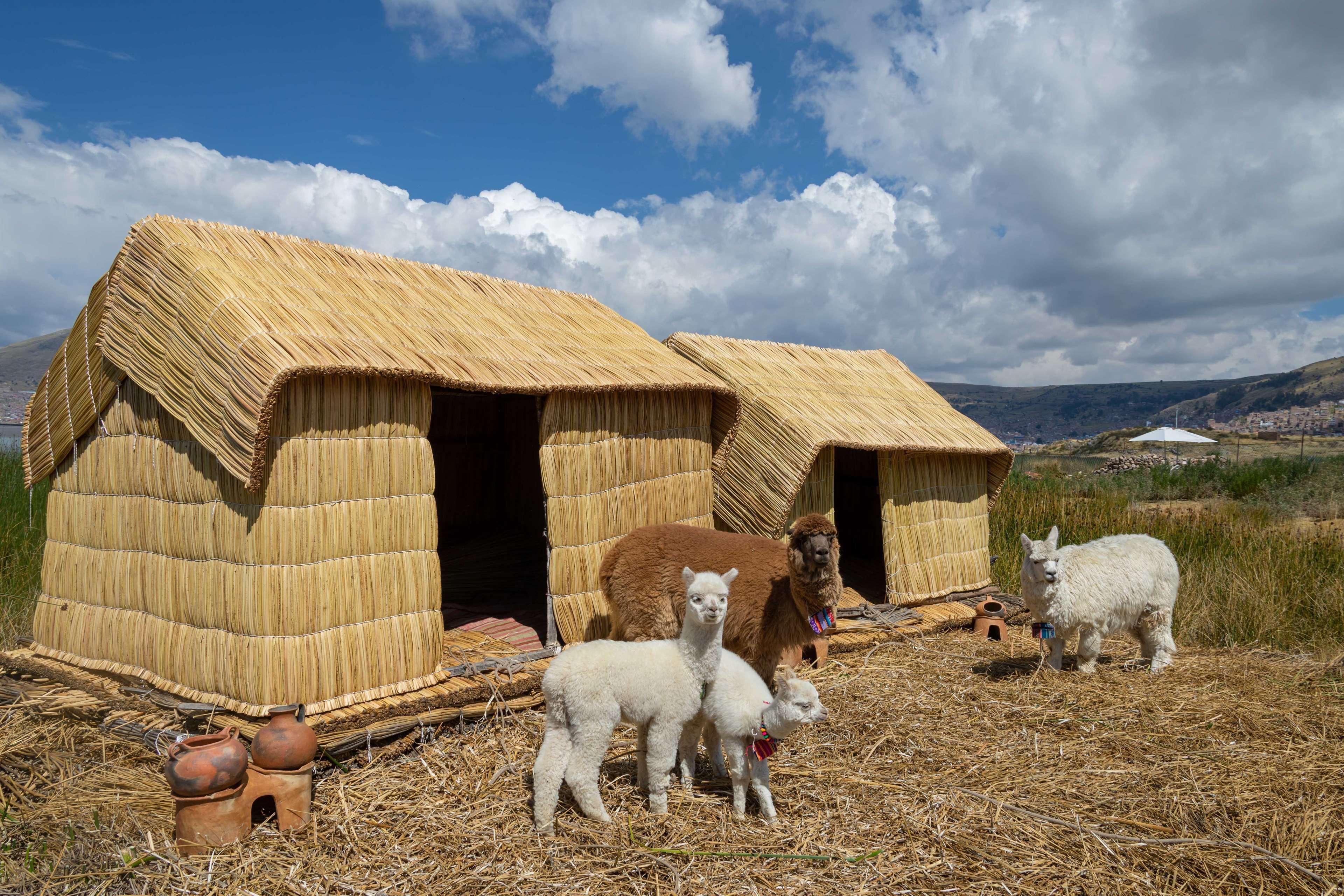 Sonesta Posadas Del Inca Puno Luaran gambar